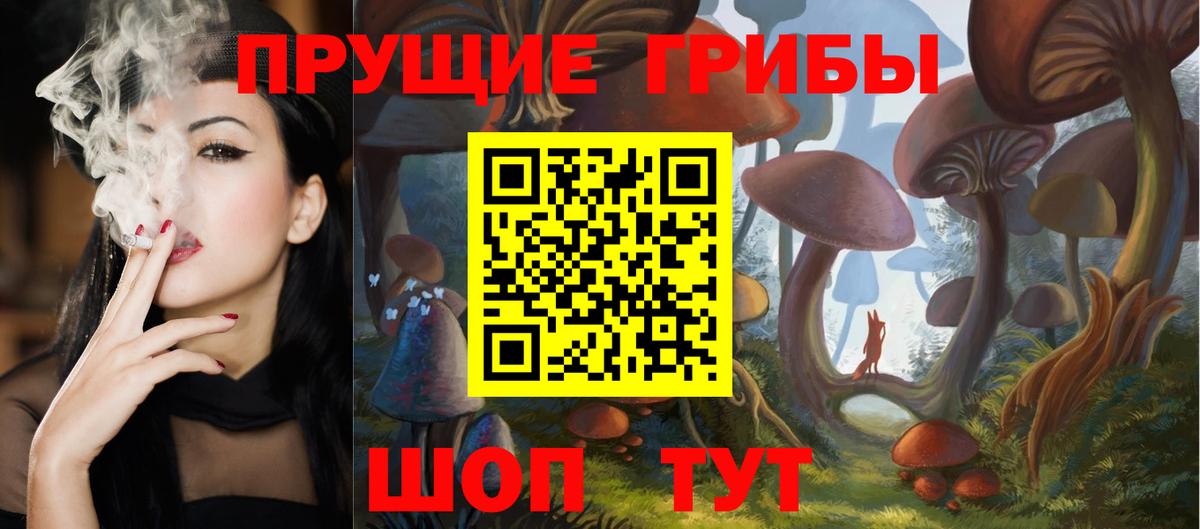Галлюциногенные грибы MAGIC MUSHROOMS  Вход с VPN  Элиста  Галлюциногенные грибы Psilocybine cubensis 